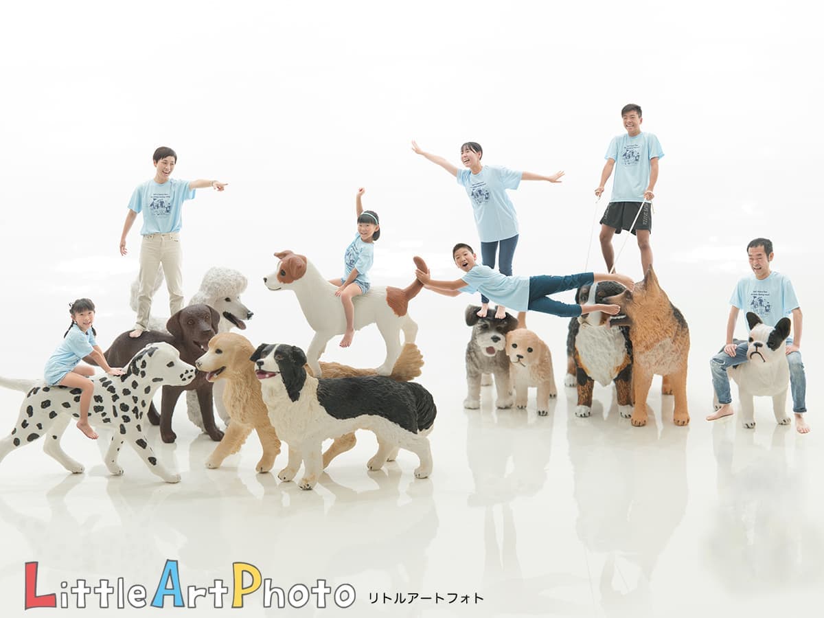 リトルアートフォト